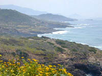 Photo of Sardinia